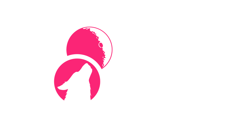 Moon Rover Text Logo